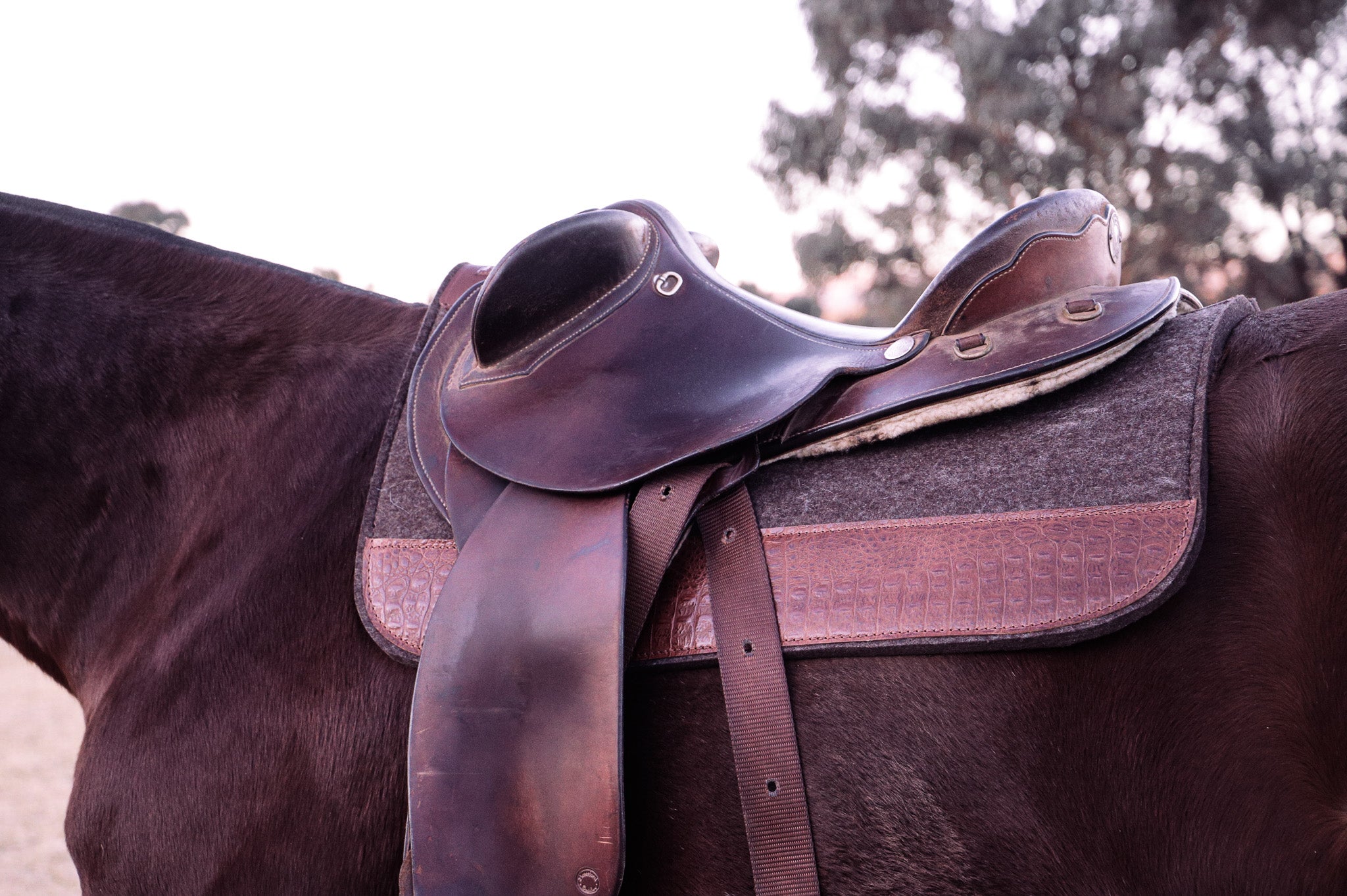 The 'Cut Out' wool felt pad - square skirt