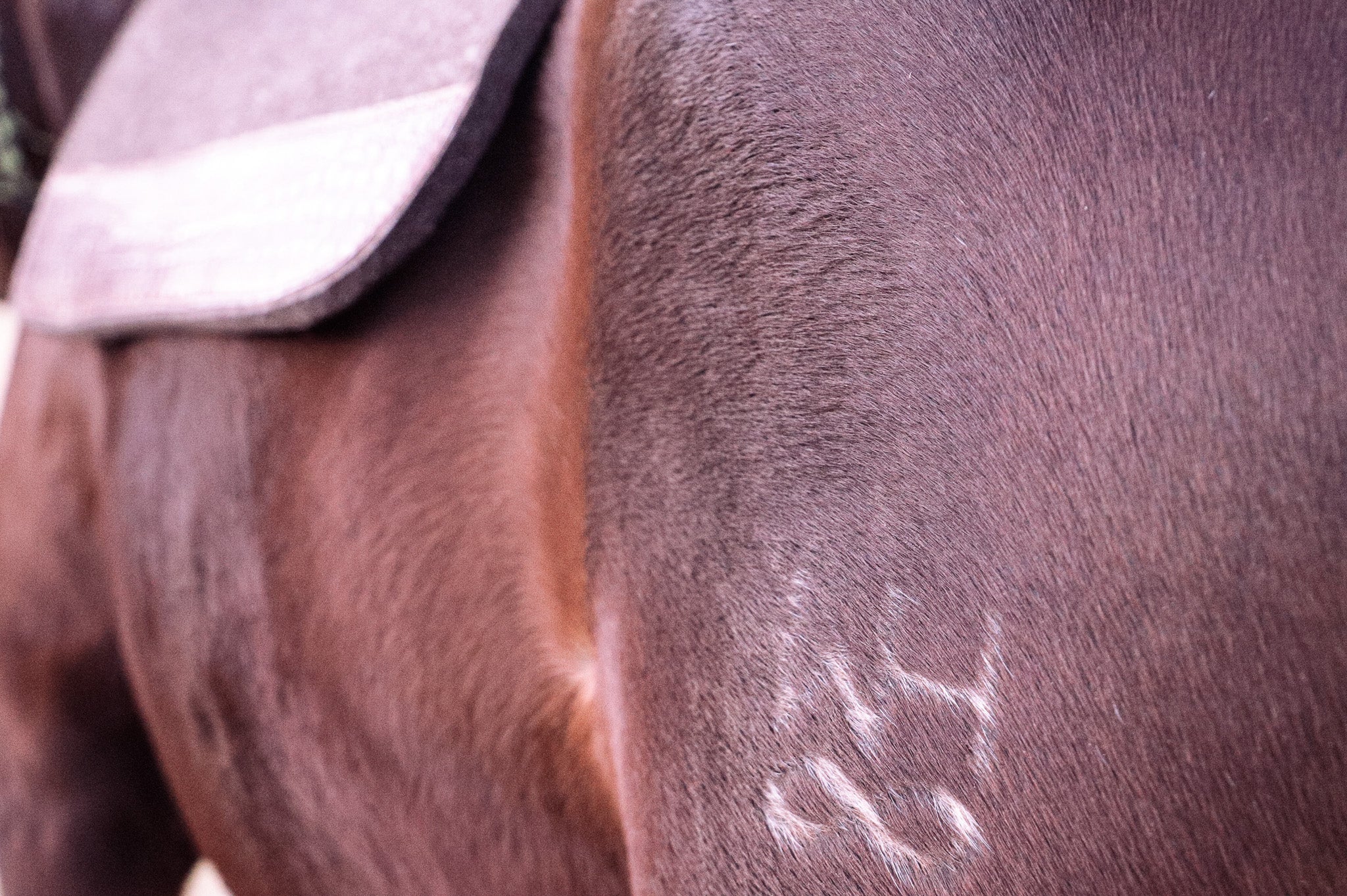 The 'Cut Out' wool felt pad - square skirt
