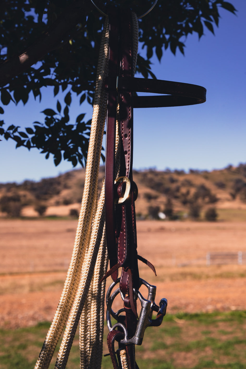 Flat sewn rope reins - QUICK CHANGE BUCKLES OR WATER LOOPS AND TIES