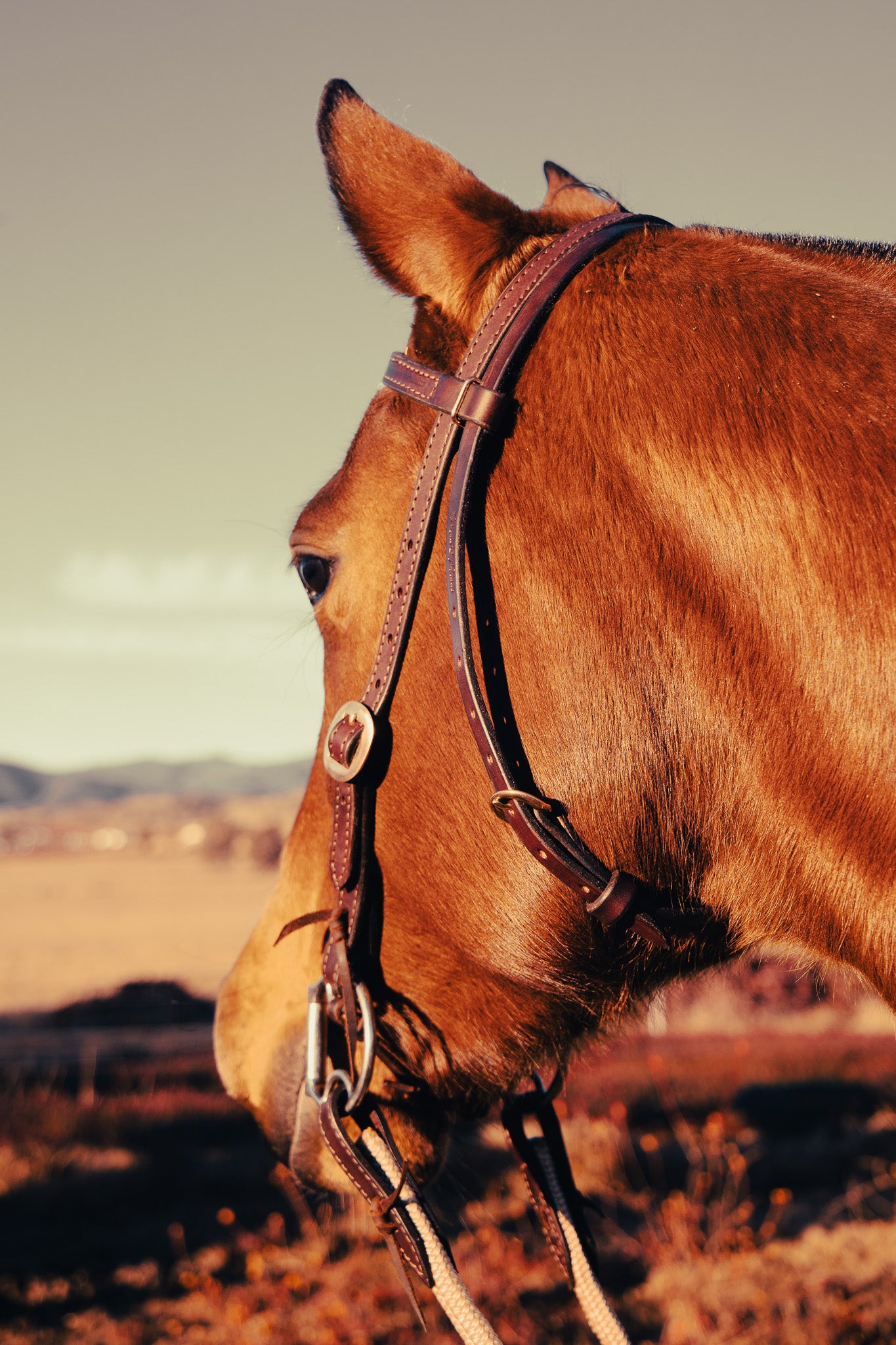 Work series handmade latigo leather bridle with bit ties