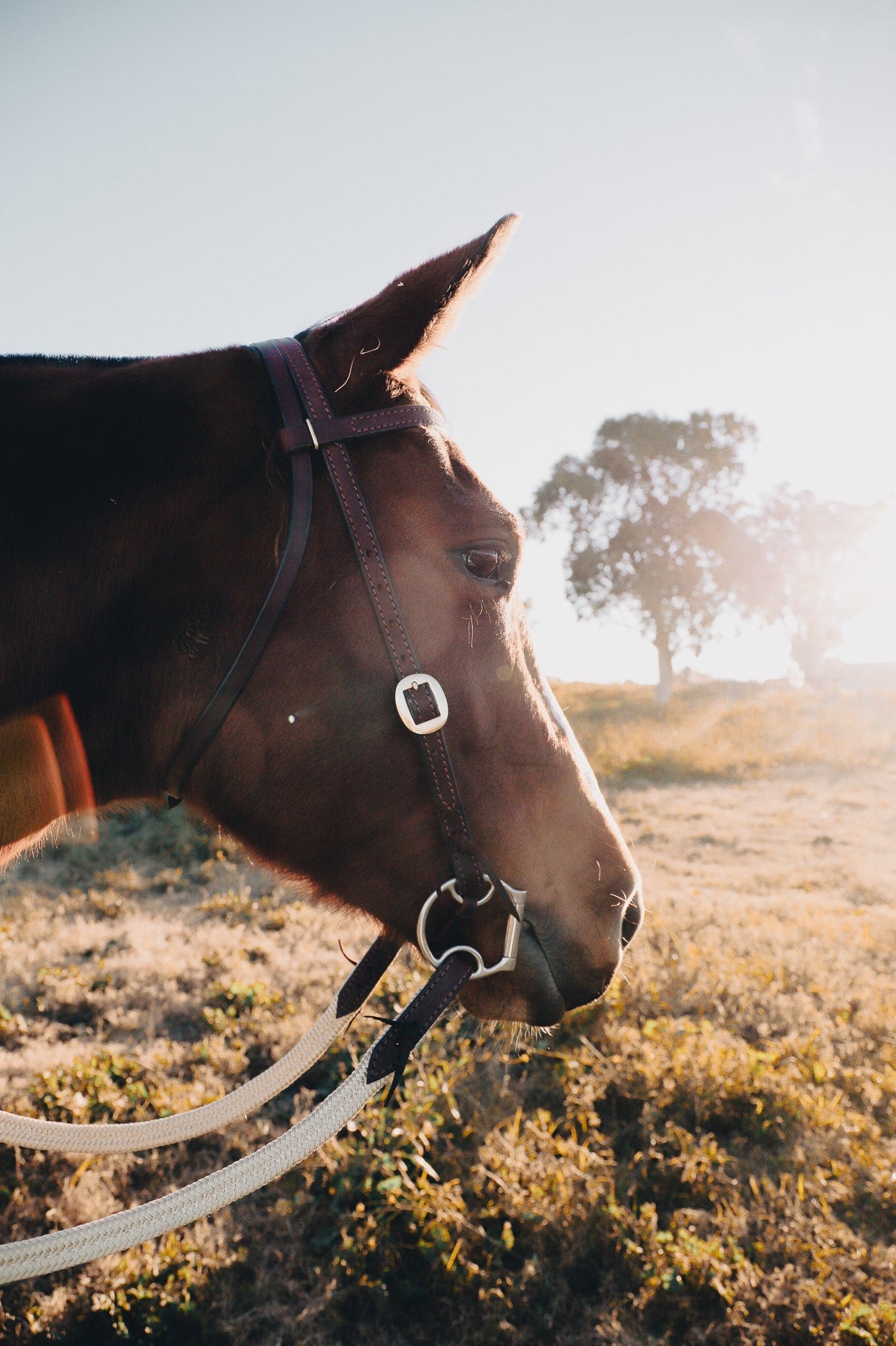 Work series handmade latigo leather bridle with bit ties
