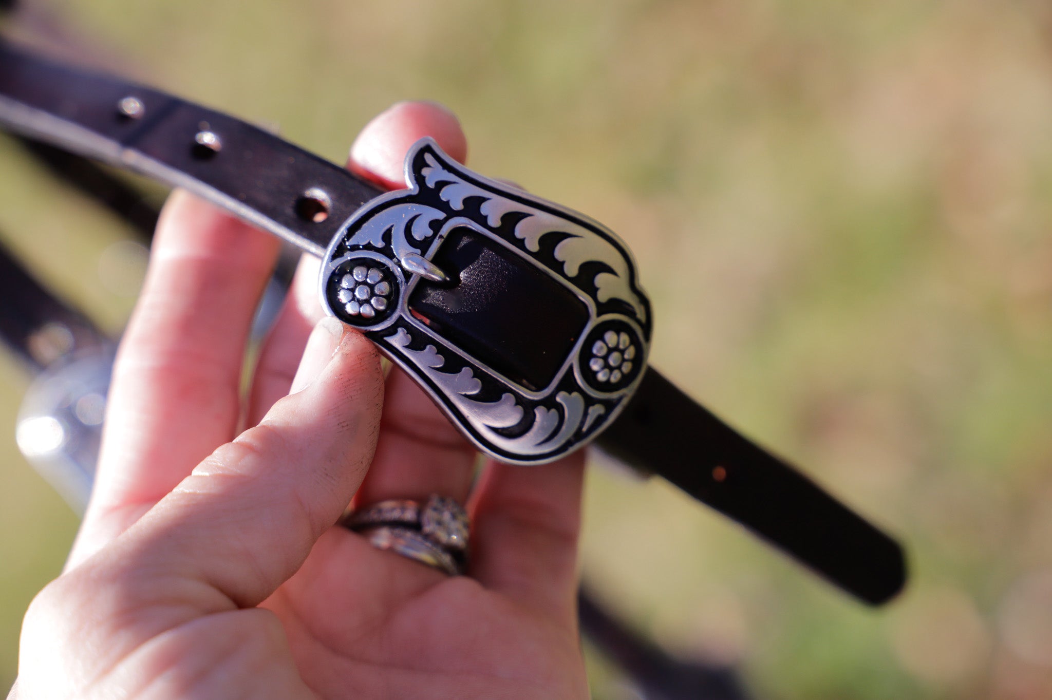 Handmade leather bridle with Jeremiah Watt buckles, quick change, and feature browband