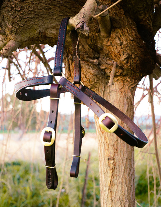 Handmade leather cob-full barcoo bridle with concho and buck stitch brow