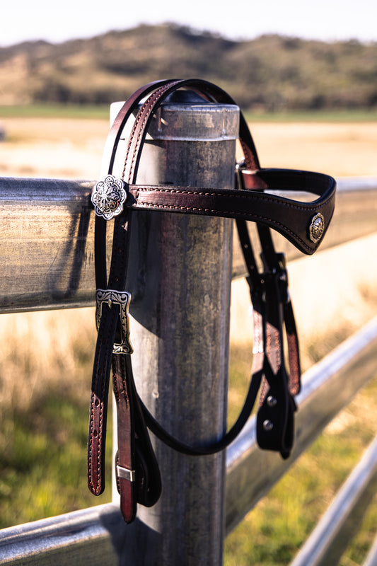 Hand made quick change leather bridle with Jeremiah Watt buckles
