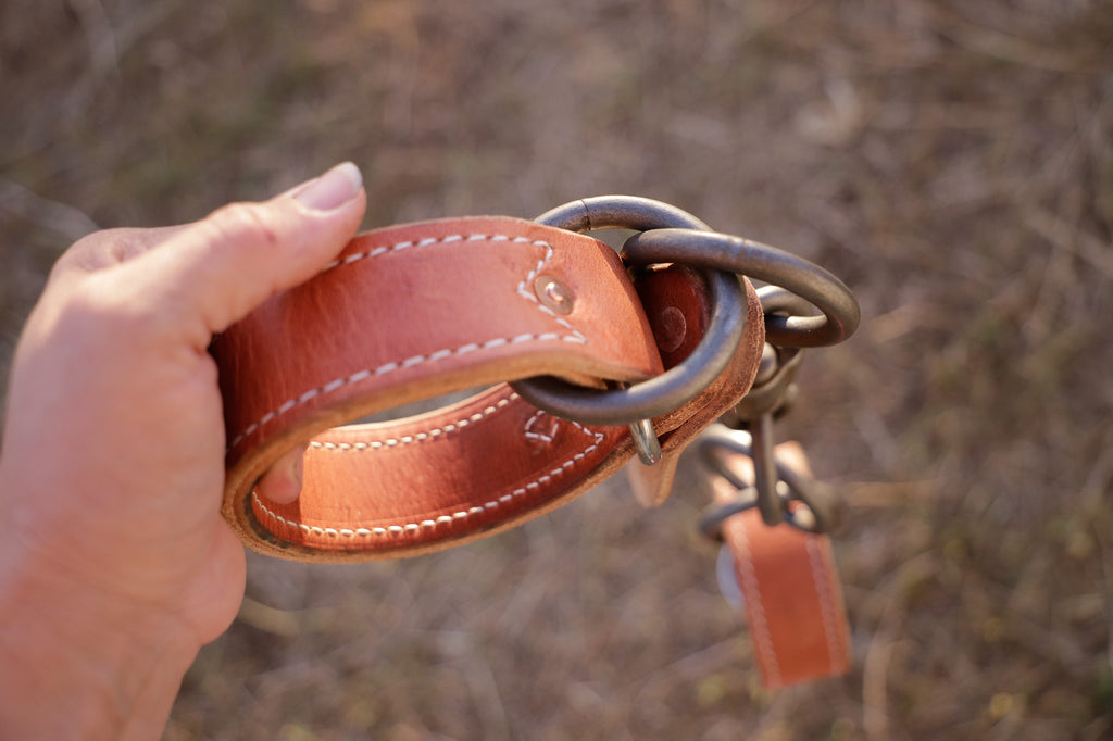 Quick release hobbles