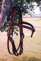 Futurity bridle