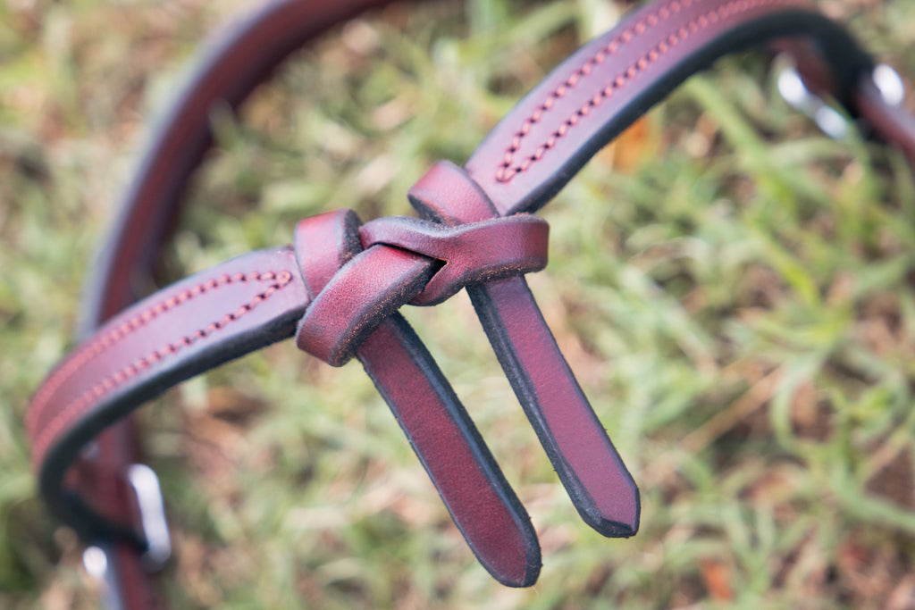Futurity bridle