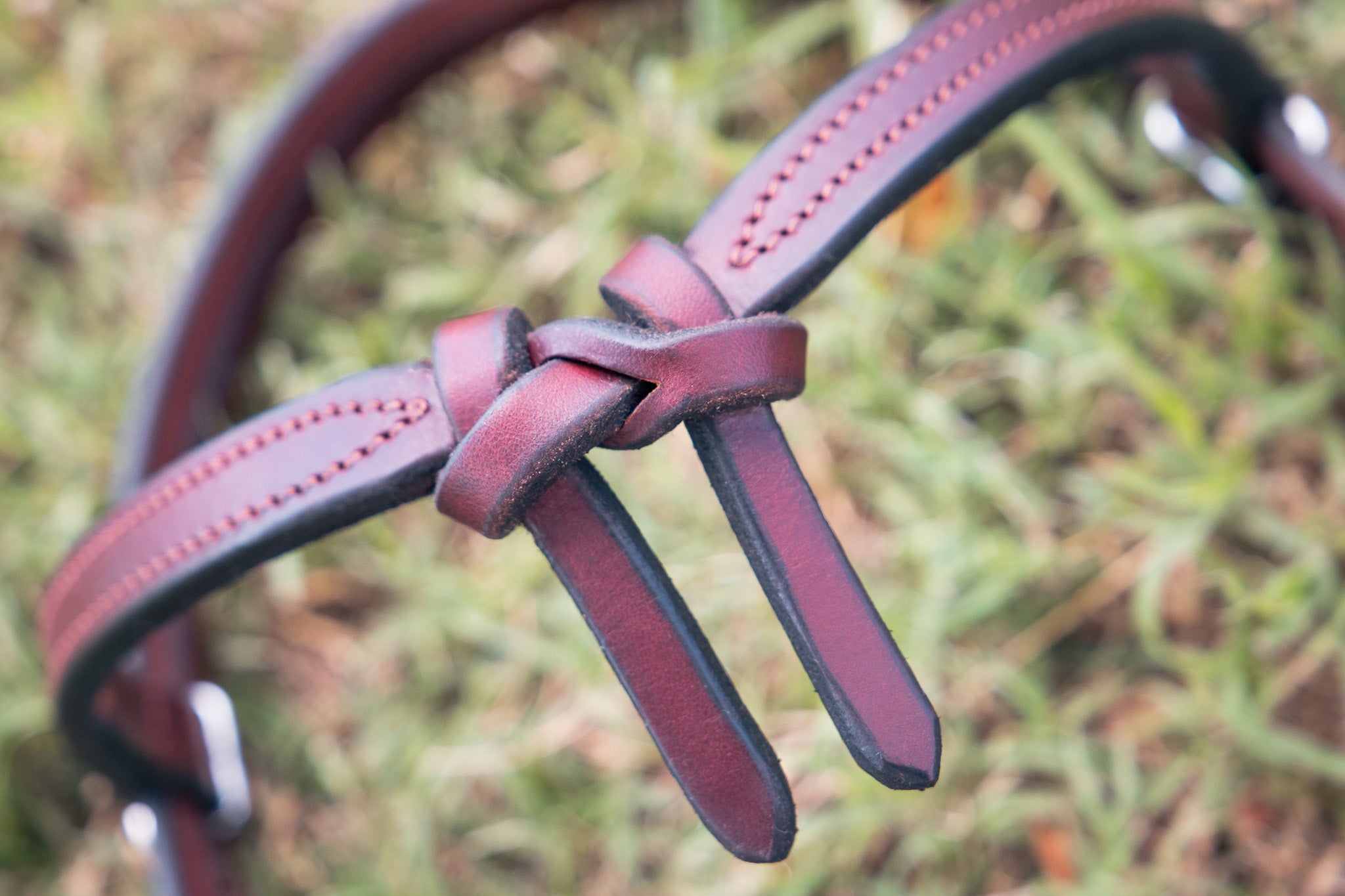 Futurity bridle