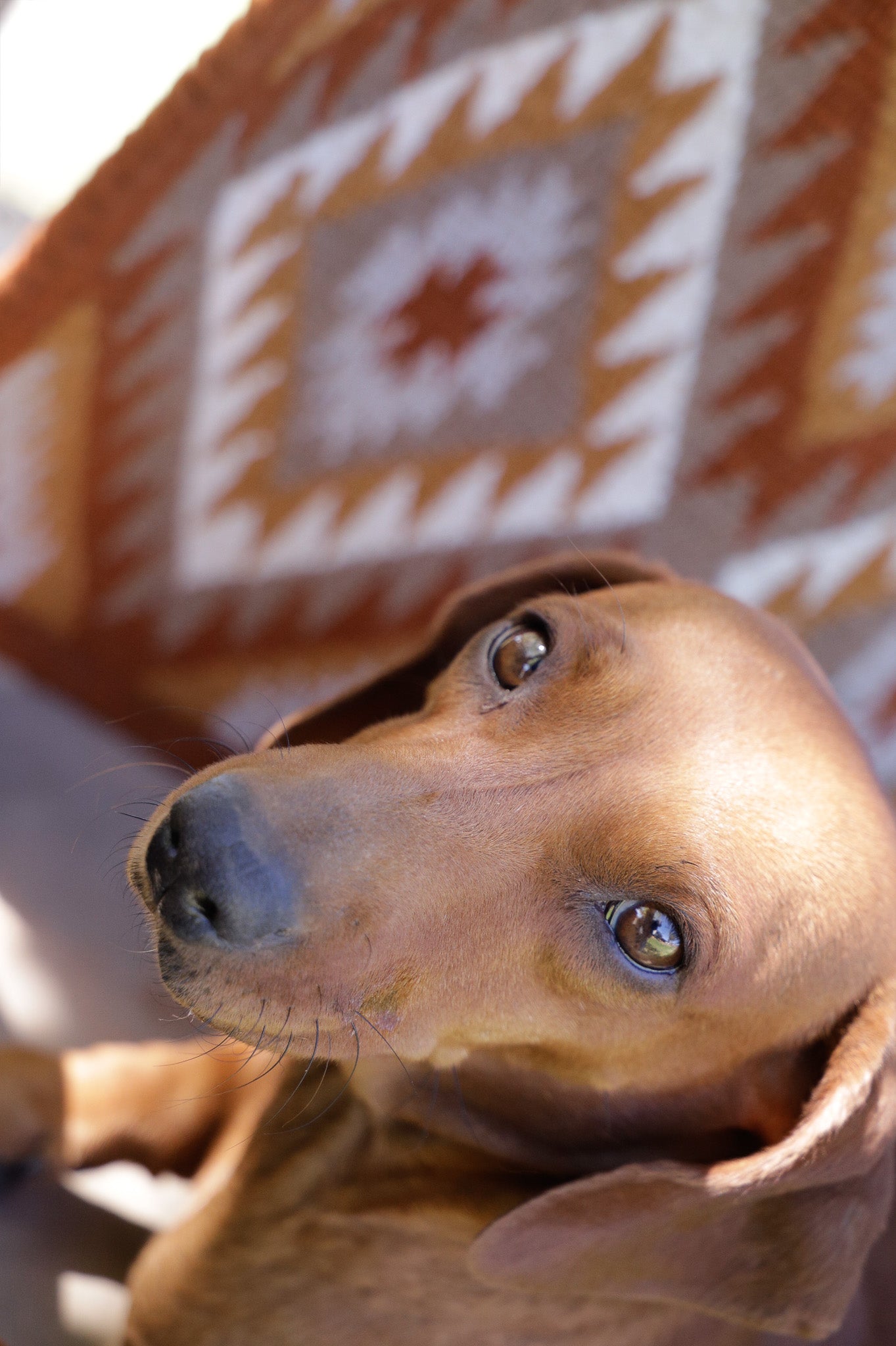 The Minimalist Handwoven NZ wool, felt lined blanket pad