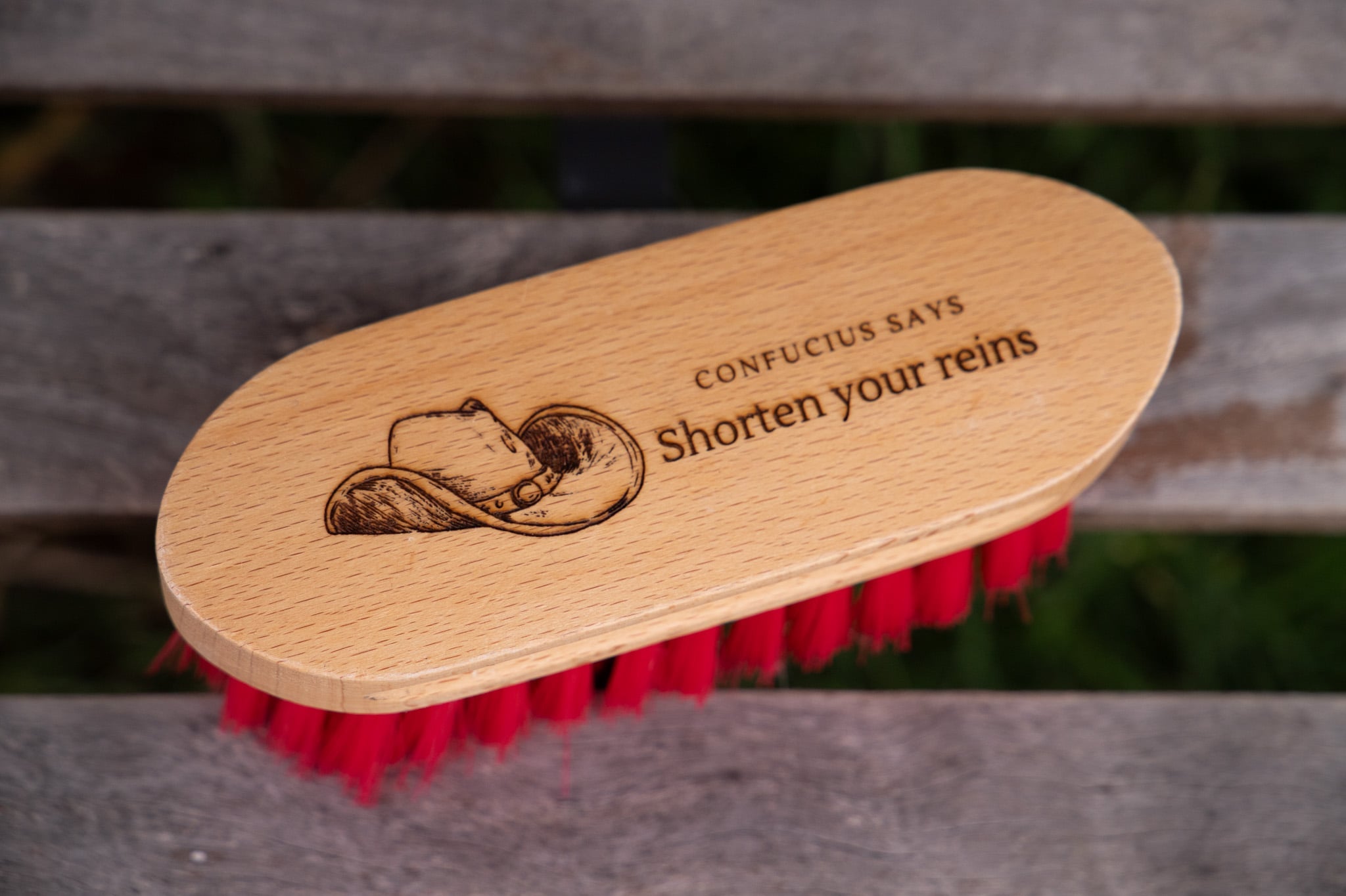 HORSE BRUSH - Shorten your reins...