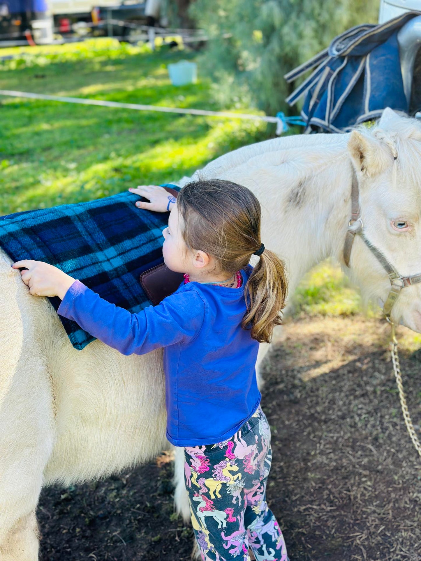 'THE ROWDY' Handmade Kersey Saddle Pad for kids & tiny tots - in your choice of colour